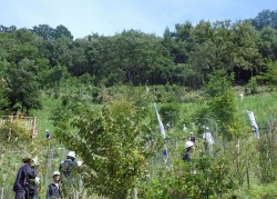 2016植樹祭ー９