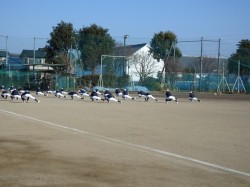 2017野球部練習はじめ